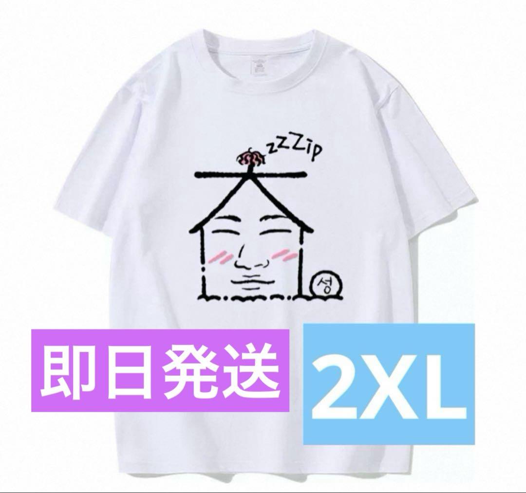 

[USED] Daesung D-LITE T-shirt Jiyeon BIGBANG GD Sol Delight