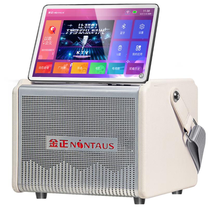 Jinzheng Portable All-in-One KTV Karaoke System