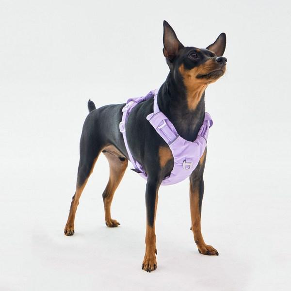 Far Puppy No-Webbing Harness, Monte Lavender
