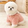 Autumn and Winter Dog Clothes Two Feet Comfortable Cotton Lint Warm Hooded Teddy Bear Small Dog Pet Winter Dog Clothing