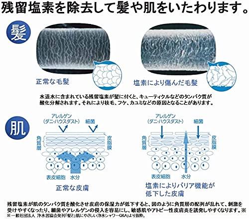 Set Sale Toray Trevino Tre Shower RS53 Replacement Cartridge RSC51 +