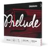 D'Addario Daddario Cello String Prelude Set J1010 1/4M Medium Tension [Domestic Genuine]