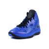Nike Lebron 8 PS Royal/Black Comfortable Mesh Slip Resistant Mid Top Basketball Shoes Men's Blue Purple 441946-400