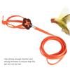 Nylon Material Bird Harness Leash Adjustable Parrot Leash Pet Bird Harness  Outdoor Training
