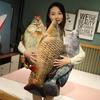 3D Crucian Carp Plush Toy & Grass Carp Mandarin Fish Pillow - Cat Teaser & Funny Cloth Doll