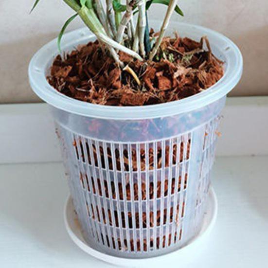 Orchid Flower Pot Clear Orchid Pot with Drainage Holes Raised Bottom Breathable Slotted Plant Pot