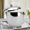 ABHAS® 1.5L Stainless Steel Apple-Shaped Ice Bucket With Tong, Peg Measurer & Wine Stopper | Premium Bar Accessory
