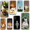 Telefon kapları – Smartphone Bumper Kılıflar
