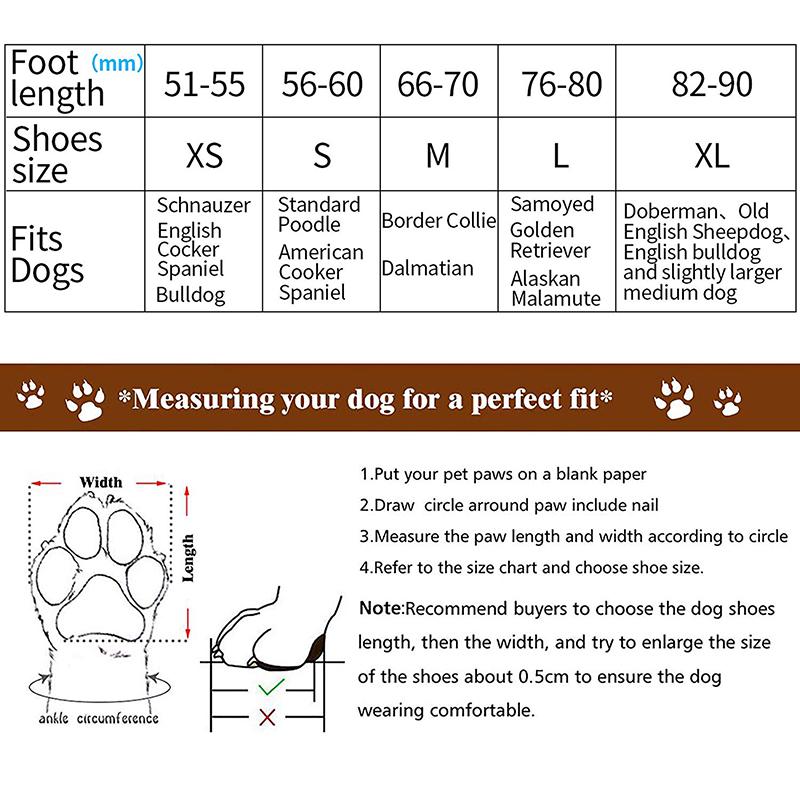 dog shoe sizes