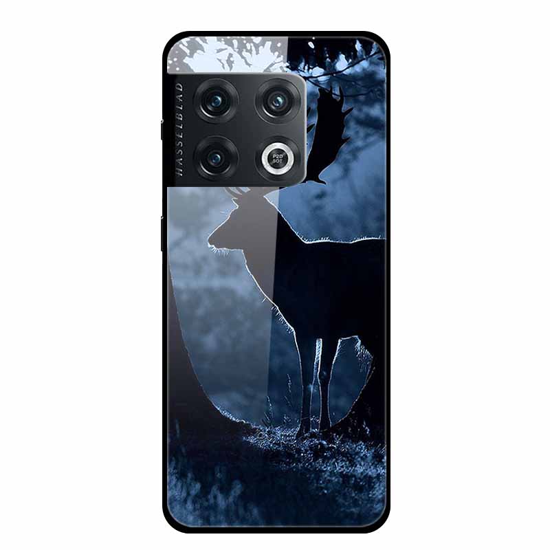 For One plus 10 Pro Case Shockproof Tempered Glass Hard Back Cover For OnePlus 10 Pro 10Pro Oneplus10 1+10 Pro Bumper Coque Case