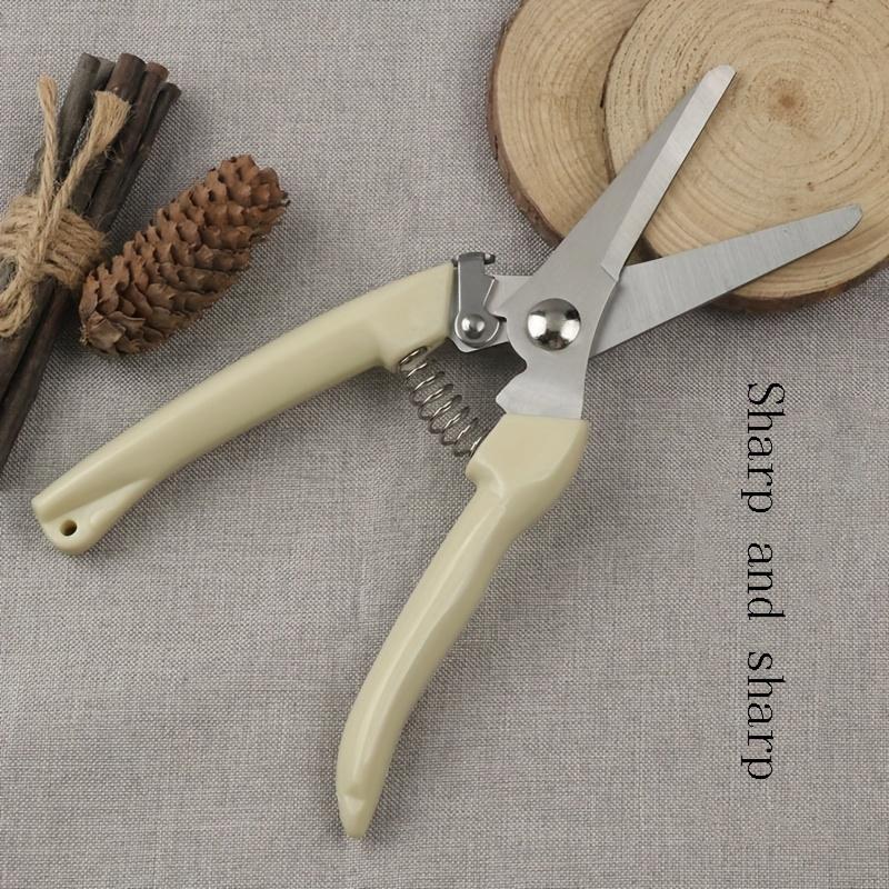 Stainless Steel Scissors Flower Cutting Flower Arrangement Pruning Fruit Tree Garden Branch Cutting Household Grafting