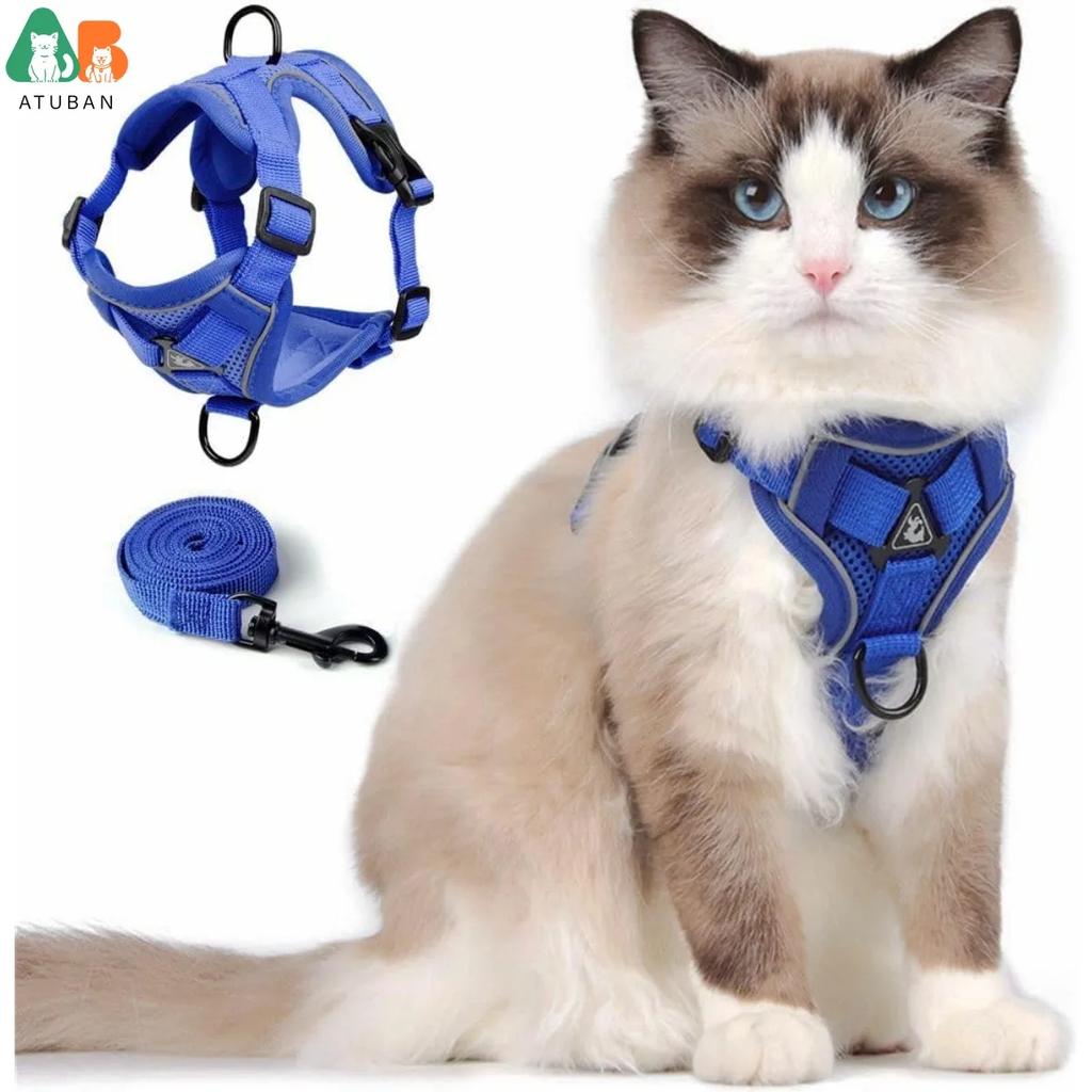 Ensemble Harnais et Laisse pour Chat de Petite à Grande Taille Harnais Gilet Réglable pour Chat Bordure Réfléchissante Laisse et Harnais Universels pour Chat