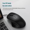 Rapoo Office Mouse Series