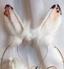 Speckle Rabbit Ears Headband White Tail  Pet Play Cosplay Hair Accessories