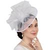 Delicaat Tule Sluier Hoofddeksel Fascinator Hoofdband Voor Bruiloften Feesten En Speciale Gelegenheden Meerdere Stijlvolle Kleuren