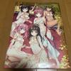 [USED] ToLOVEru Darkness Art Book HaremGold