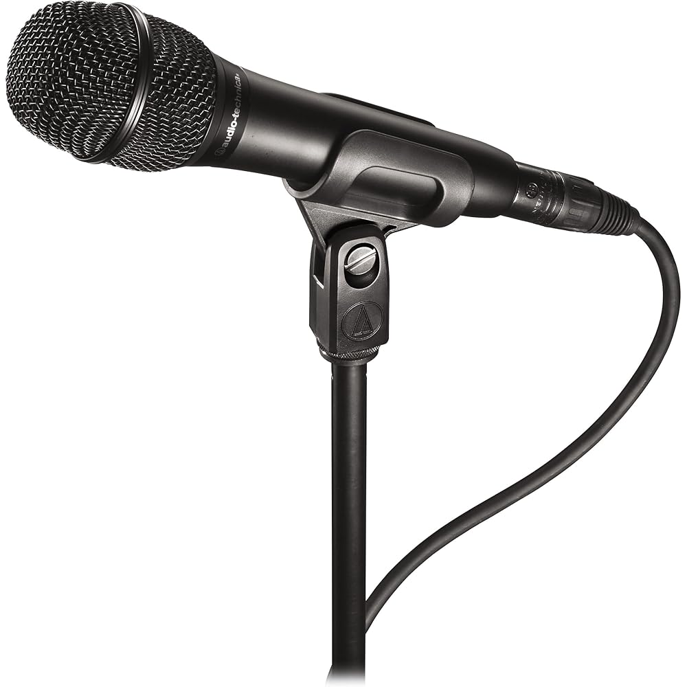 Audio-Technica AT2010 Condenser Microphone XLR Handheld Video Distribution Home Recording Podcast...