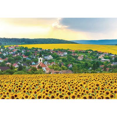 1000 Piece Jigsaw Puzzle - Sunflower Village, Popular Korean Puzzle