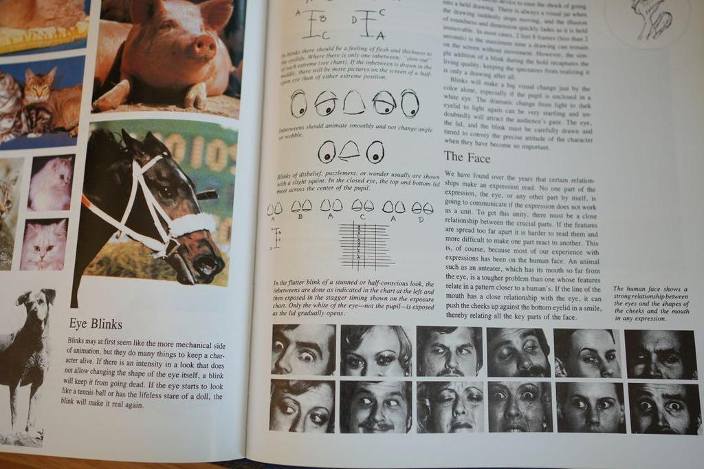 [USED] The Illusion of Life: Disney Animation