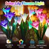 1Pc  Solar Lily Ground Mounted Lamp Best Choice for Solar Flowers Outdoor Waterproof Utdoor Solar Lights Garden Lights