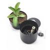 1PC Flowerpot Storage Tank Creative Iron Box with Lock Insurance Password Storage Box Mini Money Storage Organizer Hide Money