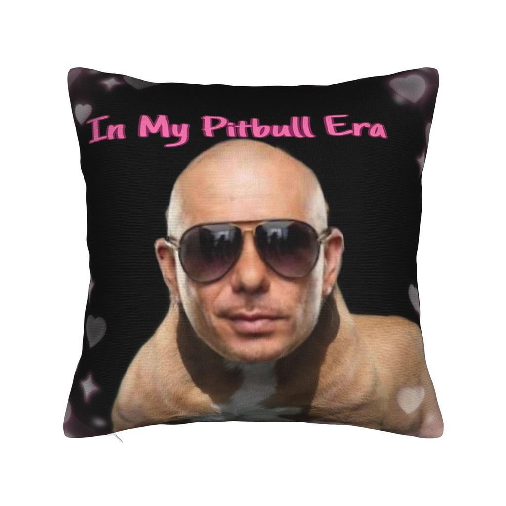 Decorative Pillowcase Singer Pitbull Tour Stuff Bed Throw Pillow Case Cover Square Style Multiple Sizes