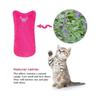 Catnip Plush Toys 10 Pcs Plush Thumb Shaped Cat Toys Interactive Chew Toys Catnip Toys Set Plush Toys Suitable for All Cats and Kittens