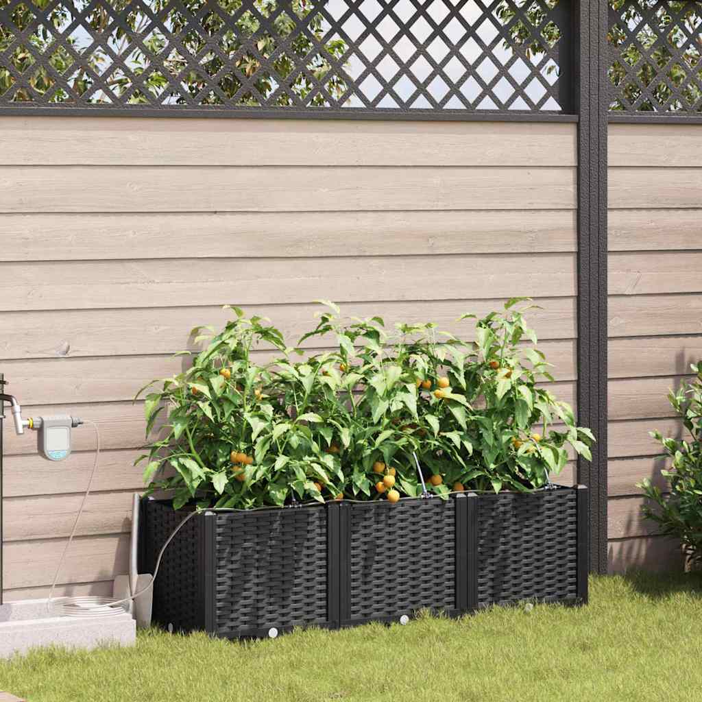 Garden Planter Set 3 pcs Black 120 x 40 x 37.5 cm Plastic