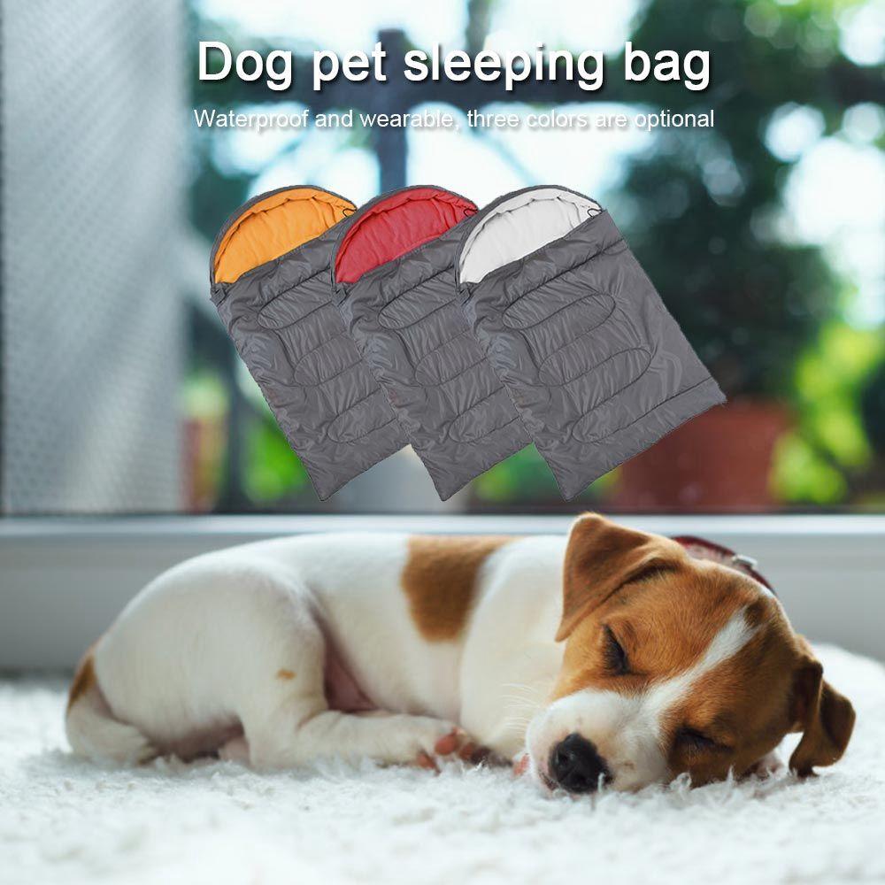 dog camping blanket