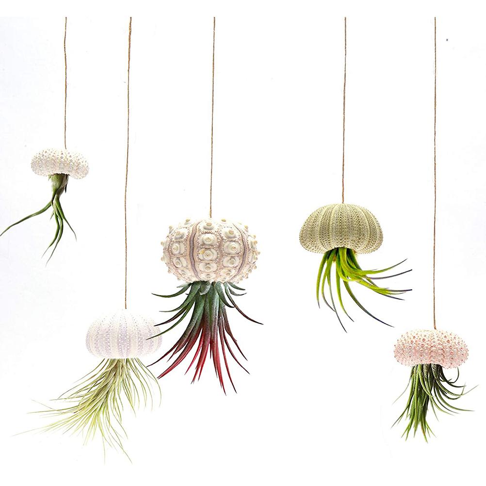 5PCS Funny Planter Pots Adorable Decorative Hanging Planter for Home Office Decor
