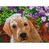Diamond Painting Kit - CRYSTAL ART - Floral Pup - 30x30cm - 11 pièces - Intérieur