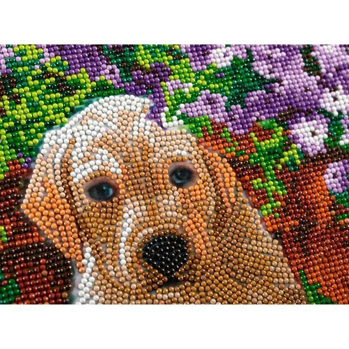 Diamond Painting Kit - CRYSTAL ART - Floral Pup - 30x30cm - 11 pièces - Intérieur