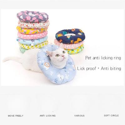 Katzen – Katzenpflege