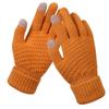 Touch Screen Gloves Men's Winter Riding Driving Thickened Plush Wool Cold-proof Female Students Autumn and Winter Warm Gloves