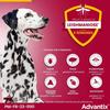 Advantix Chien Solution Antiparasitaire Grande Race 25 à 40kg 4 pipettes
