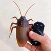 Trick Electric Cockroach Pet Rc Simulation Animal Robotic Remote Control Ant Toy Halloween Xmas Mini Gift For Adult Prank Insect