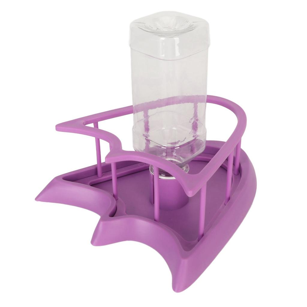 Automatic Reptile Water Feeder Safe Purple Fence Reptile Water Drinker Dispenser with Bottle for   Reptile Supplies