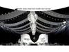 LED Ping Pong String Lights - Multi-Purpose Decorative Lights for Weddings, Festivals, Outdoor Camping, and Party Backgrounds