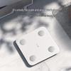 XiaoDu Smart Body Fat Scale Pro