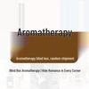 Mystery Aroma Set - Random Scents in a Blind Box