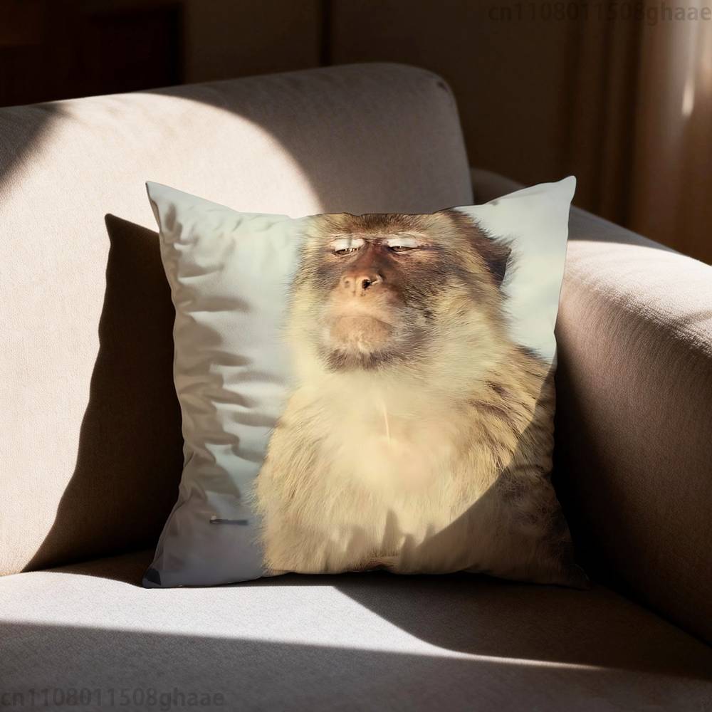 Funny Cute Monkey Pillow Case Sofa Living Room Bedroom Headboard Backrest Cushion Square Cushion Nap Time