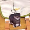 With Sound Cat Voice Keychain Cat Voice Doll  Children's Toy Schoolbag Pendant Decoration