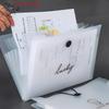 (YOUU06)Cartellina Trasparente con Inserimento Borsa Documenti A4 Cartella Espandibile Multistrato Porta per Cancelleria Scolastica e d'Ufficio