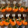 Plush Persimmon Backpack Charm & Keychain Ornament - Cute Gift