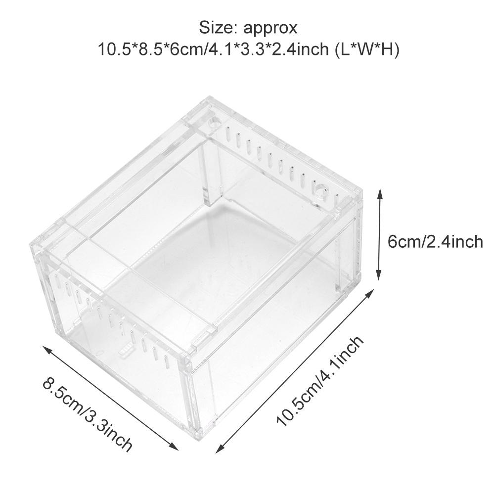 Acrylic Transparent Flameer Reptiles Insect Tank Breeding Box Pets Snakes Turtles Terrarium