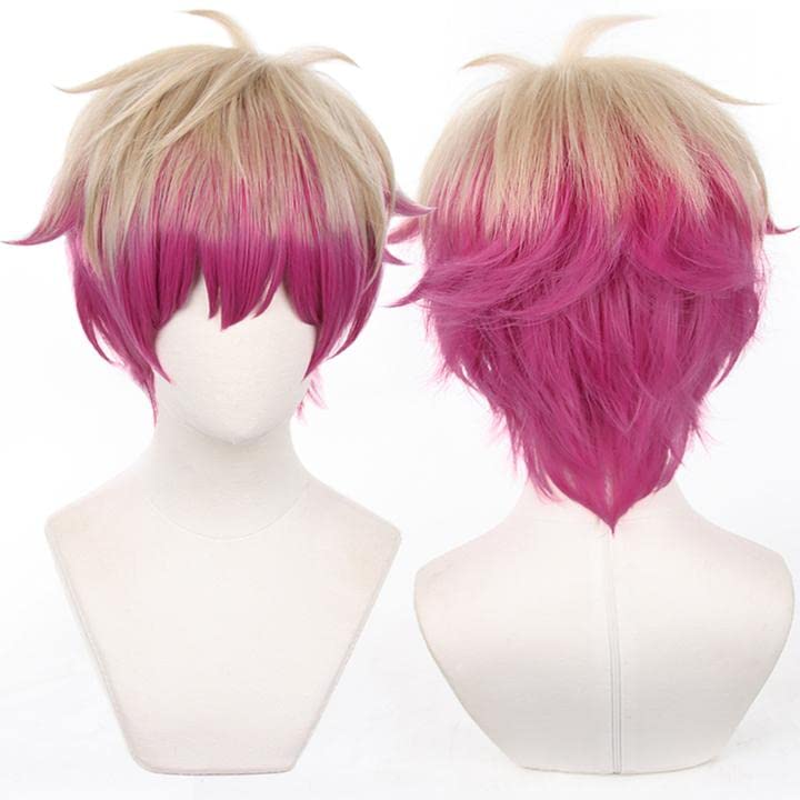 LVMEY Anime Character Cosplay Cosplay Comiket Cultural School Festival Wig, Costume, Heat-Resistant Wig, Accessory, Event, Halloween, Christmas,