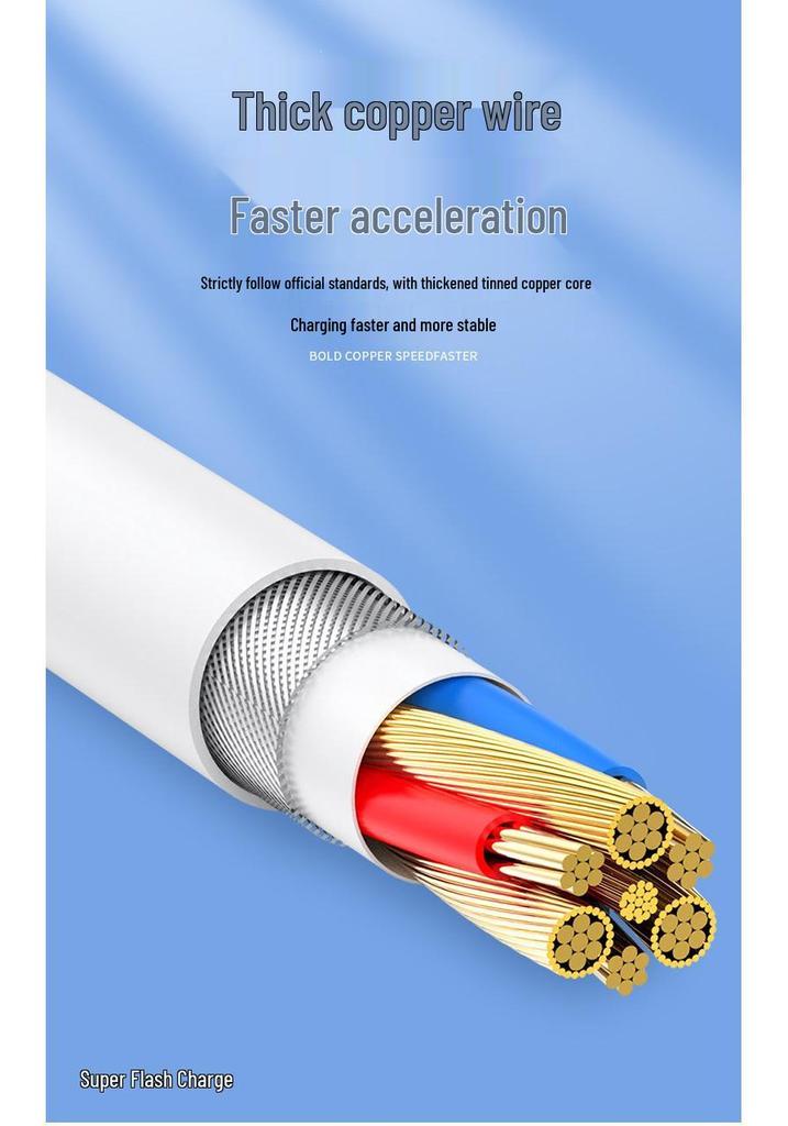 Compatible with Huawei Honor 66W Super Fast Chargers for 300/200/100/90/80/70/60/50 Pro Models