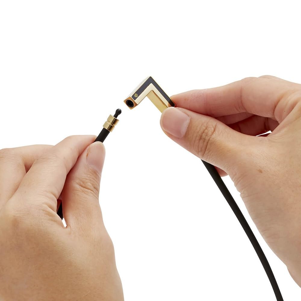 Colantotte TAO Necklace VEGA NEXT Classic Gold x Black L ABARK52L (47cm)