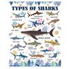 50x60 In Ocean Whale Dolphin Shark Flannel Blanket Boys Kids Shark Blanket Soft Warm Cozy Blue Theme Blanket for Sofa Bed Travel