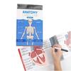 Anatomie Popisky Laboratorní Pracovní sešit 100+ Ilustrací Lidské Anatomie Pracovní sešit pro Učení Fyziologie pro Studenty Medicíny Lékaře Zdravotní Sestry